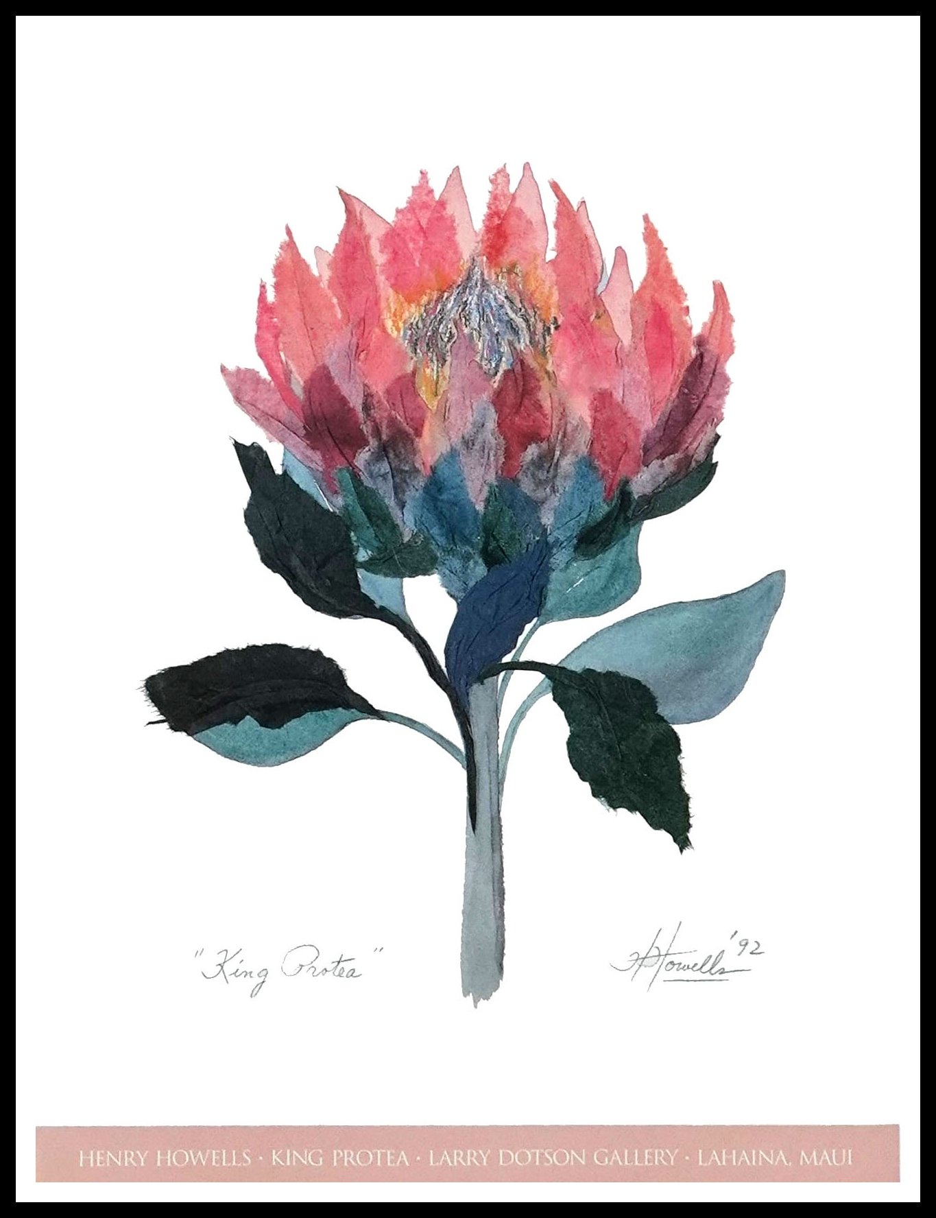 HHG HH047 King Protea